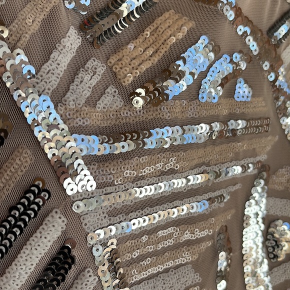 Cache Blush and Silver Sequin Geometric Design Event Cocktail Dress Sz 4 - Picture 13 of 17